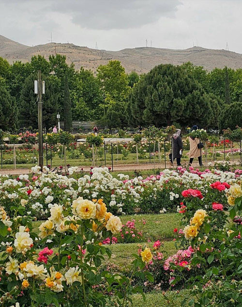 باغ ارم شیراز 